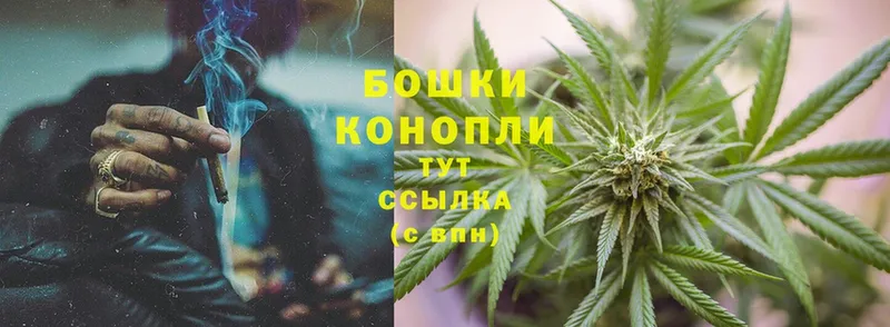 Каннабис Ganja  Великий Устюг 